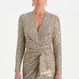 Payetli V Yaka Yırtmaçlı Drapeli Abiye Elbise - 26065C